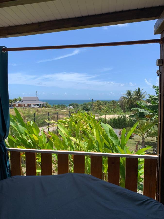 Gite Face A La Mer Des Caraibes Сент-Роз Екстериор снимка